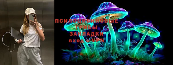 амф Новозыбков