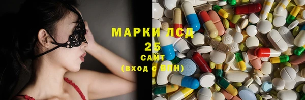 амф Новозыбков