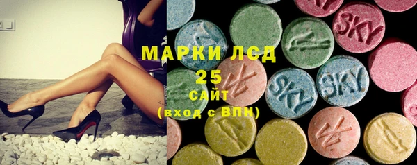 амф Новозыбков