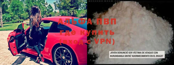 амф Новозыбков