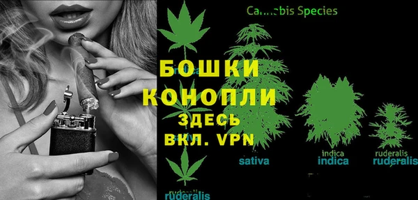 амф Новозыбков