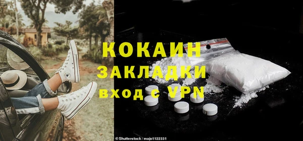 амф Новозыбков