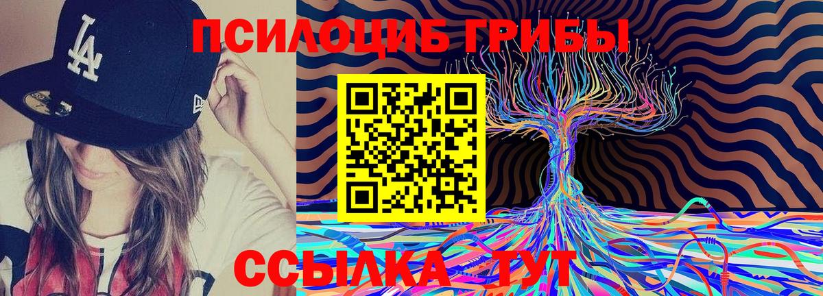 Псилоцибиновые грибы MAGIC MUSHROOMS Зима