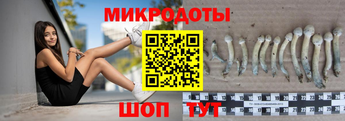 Галлюциногенные грибы мухоморы Зима