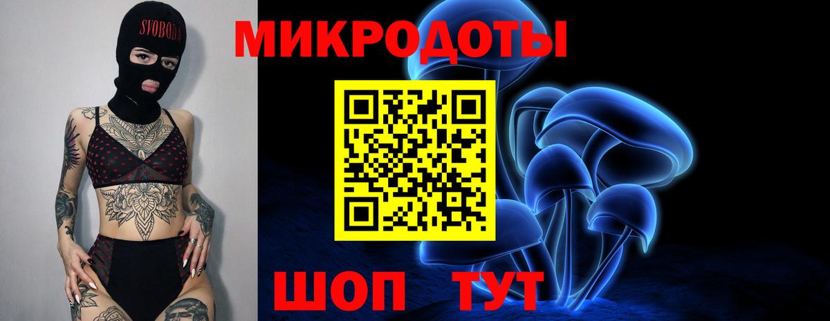Псилоцибиновые грибы мухоморы  Вход с VPN  Псилоцибиновые грибы Cubensis  Зима 