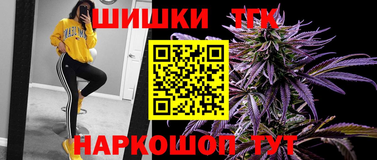 Конопля конопля  Каннабис сатива  Зима  Бошки Шишки VHQ 